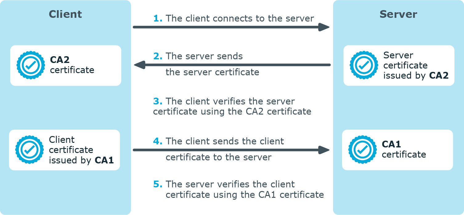 Authenticating and encrypting the communication with TLS